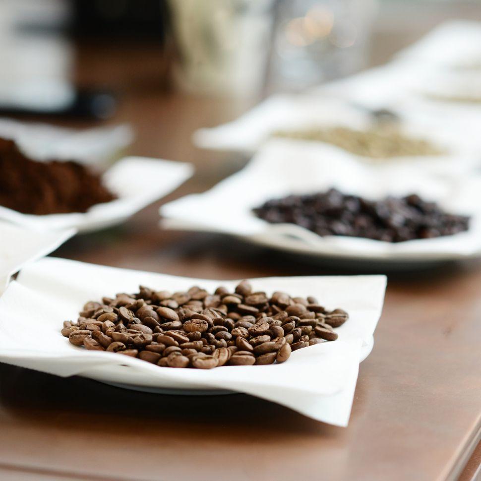 Barista Class